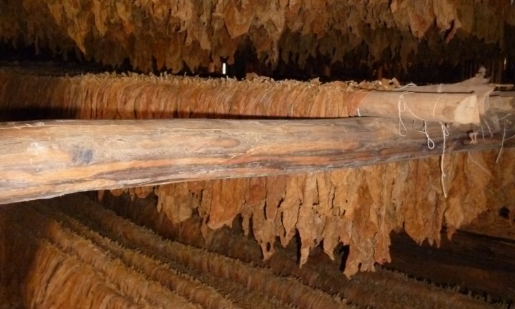 Vinales Valley - Cuba