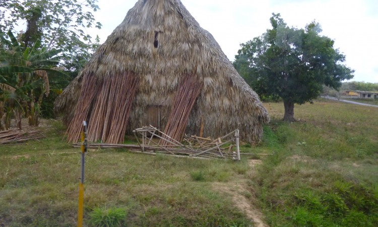 Vinales Valley - Cuba