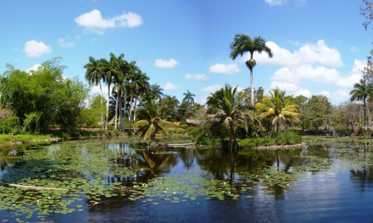 Vinales Valley - Cuba