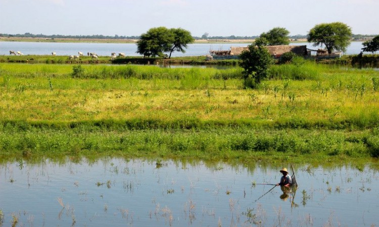 Amarapura - Port U bein - Birmanie