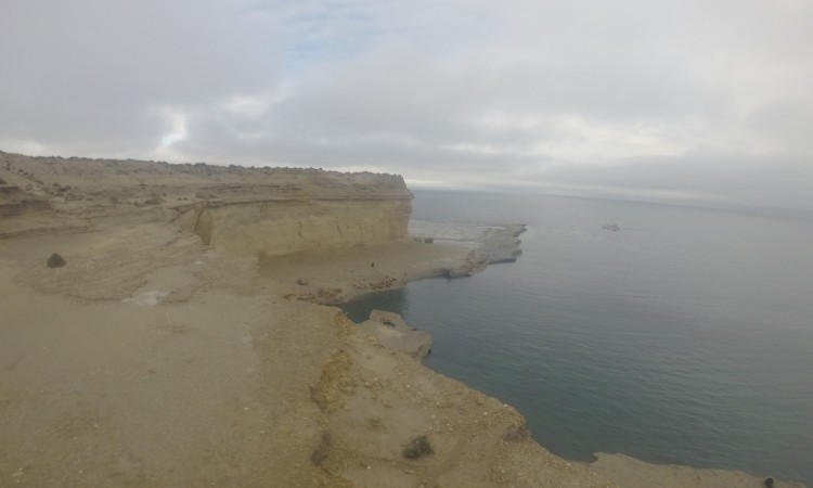 Péninsule de Valdès - Argentina