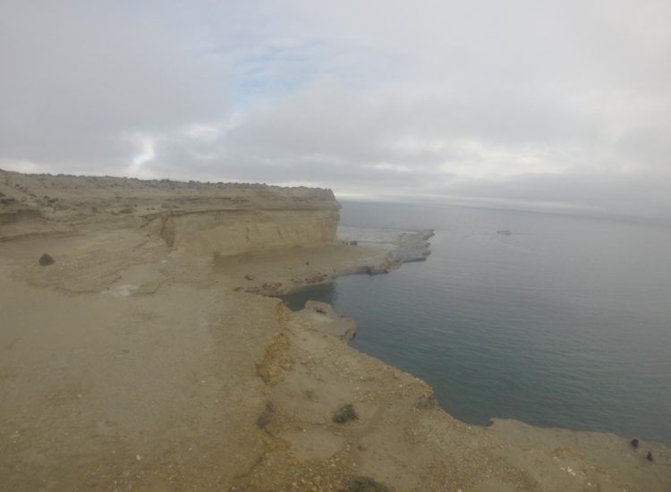 Péninsule de Valdès - Argentina