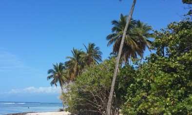 Plage de bois Jolan - Guadeloupe