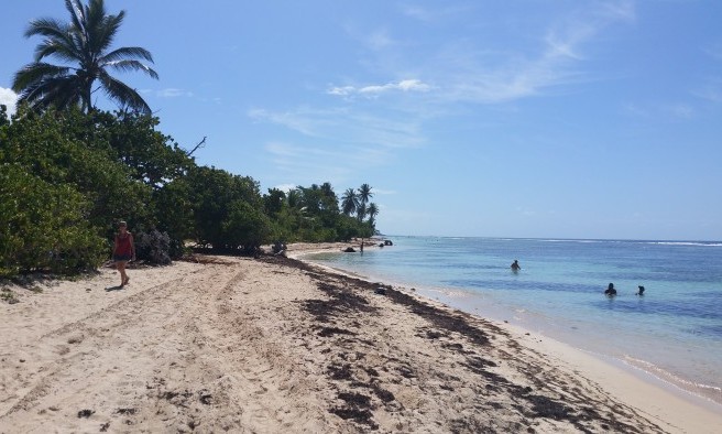 Plage de bois Jolan - Guadeloupe