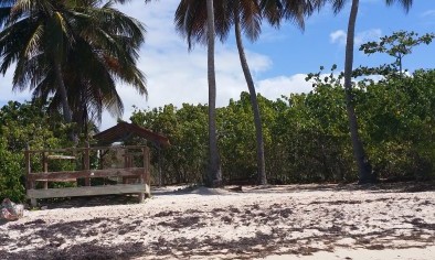 Plage de bois Jolan - Guadeloupe