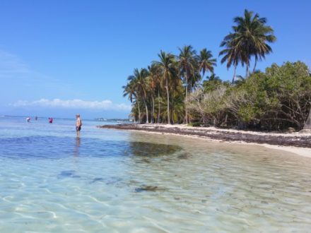 Plage de bois Jolan - Guadeloupe