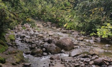 Cascades des écrevisses - Guadeloupe