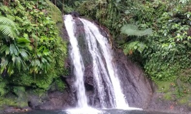 Cascades des écrevisses - Guadeloupe