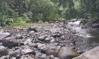 Cascades des écrevisses - Guadeloupe