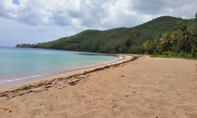 Plage de la grande anse - Basse Terre - Guadeloupe