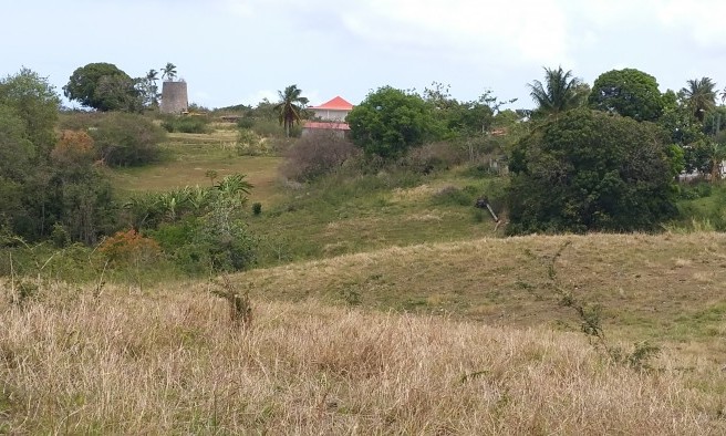 Marie Galante - Guadeloupe