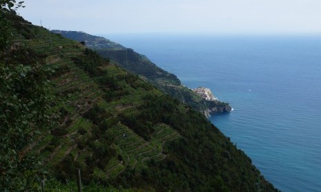 Chemin Vernazza - Coniglia - Cinqueterre - Italie