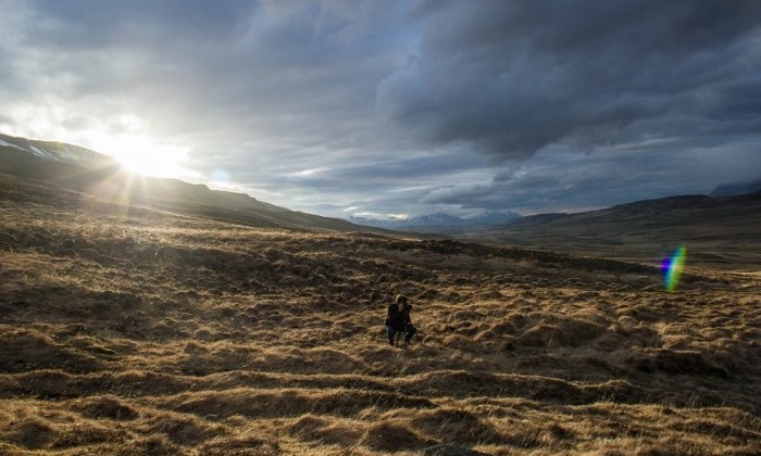 Vindheimameler - Islande