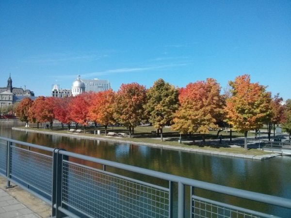 Montreal - Canada