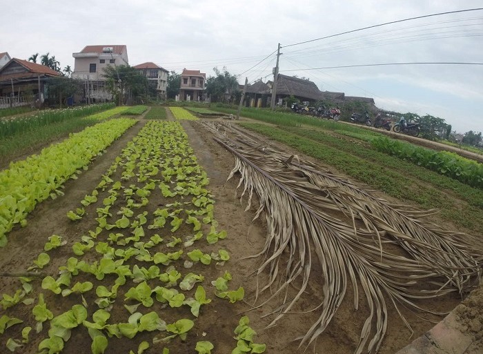 Hué - Vietnam