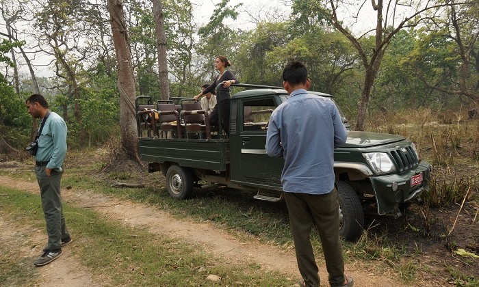 Safari - Chitwan - Népal