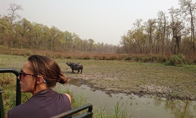 Safari - Chitwan - Népal