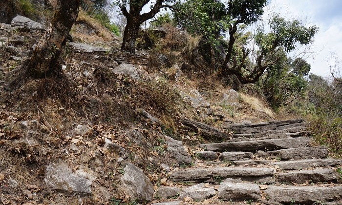 Way to Gorepani - Annapurnas - Népal