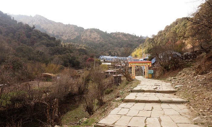 Way to Gorepani - Annapurnas - Népal