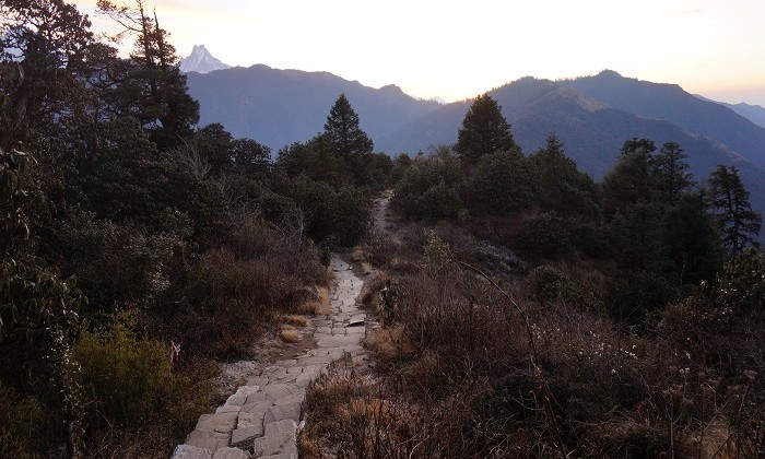 Poon Hill - Annapurnas - Népal