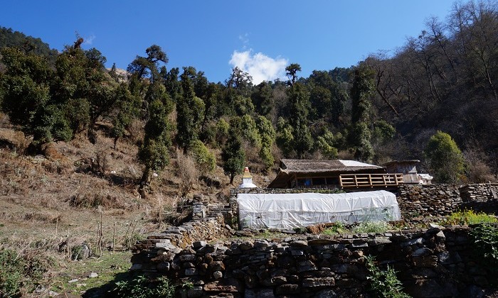 Way to Kophra - Trek Annapurnas - Népal