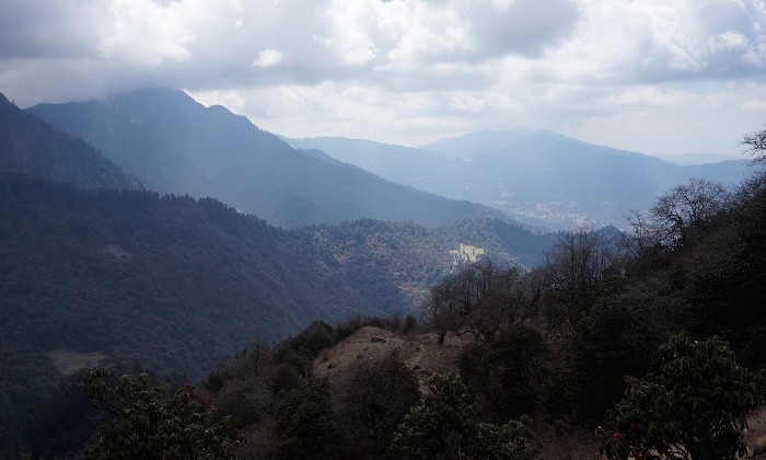 Way to Kophra - Trek Annapurnas - Népal