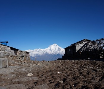 Lodge Kophra - Annapurnas - Népal