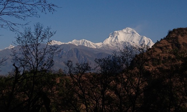 Poon Hill - Annapurnas - Népal