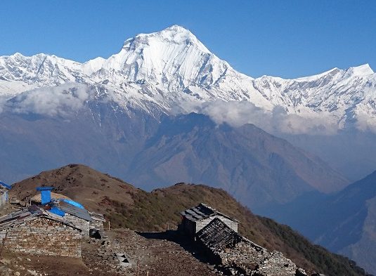 Kophra - Trek Annapurnas - Népal