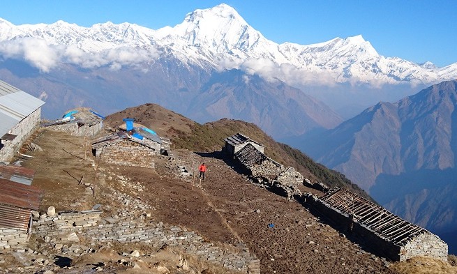 Kophra - Trek Annapurnas - Népal