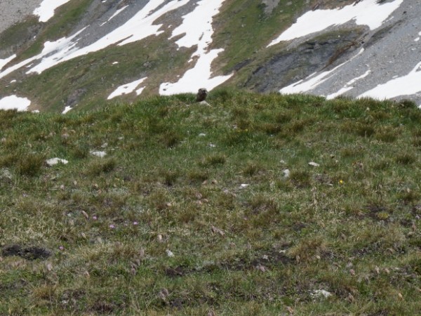 Rando Vanoise J1 pralognan à l'arpont