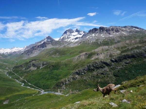 Rando Vanoise J1 pralognan à l'arpont