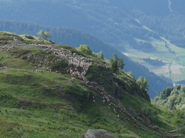 Rando Vanoise J2 l'arpont au col aussois