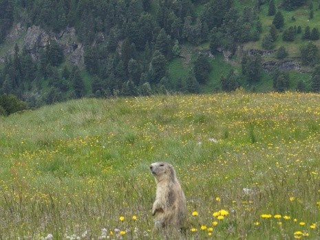 Rando Vanoise J2 l'arpont au col aussois