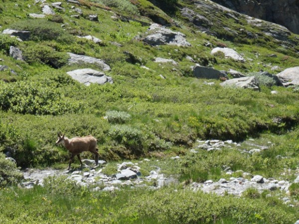 Rando Vanoise J3 Col aussois