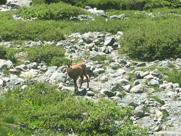 Rando Vanoise J3 Col aussois