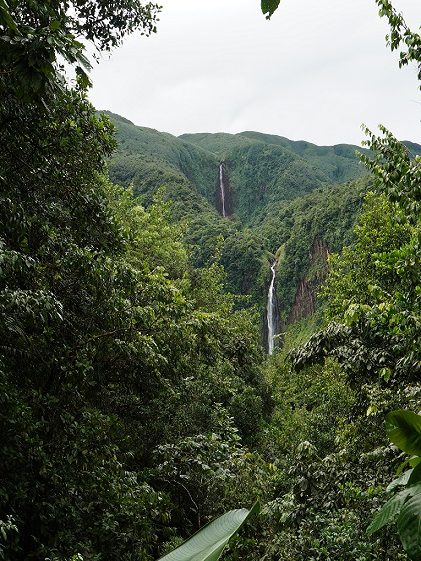 chute-du-carbet-3