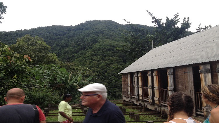 La Grivelière - Basse Terre - Guadeloupe