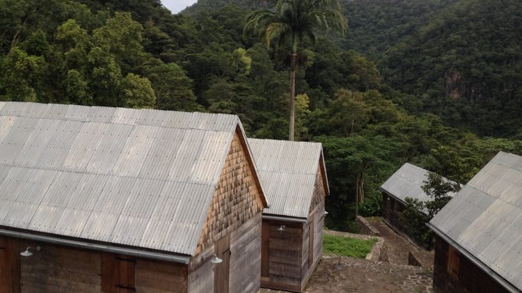 La Grivelière - Basse Terre - Guadeloupe