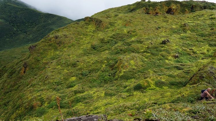 La Soufrière - Basse Terre - Guadeloupe