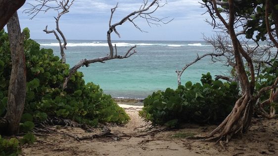 Plage de Anse Feuillard - Marie Galante