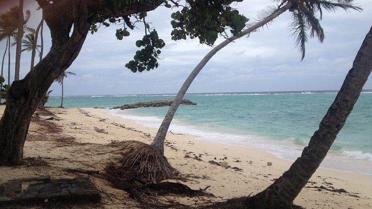 Plage de Capesterre - Marie Galante