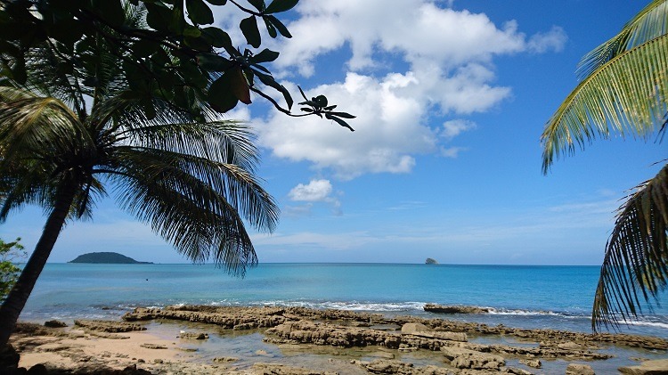 plage-de-cluny-guadeloupe