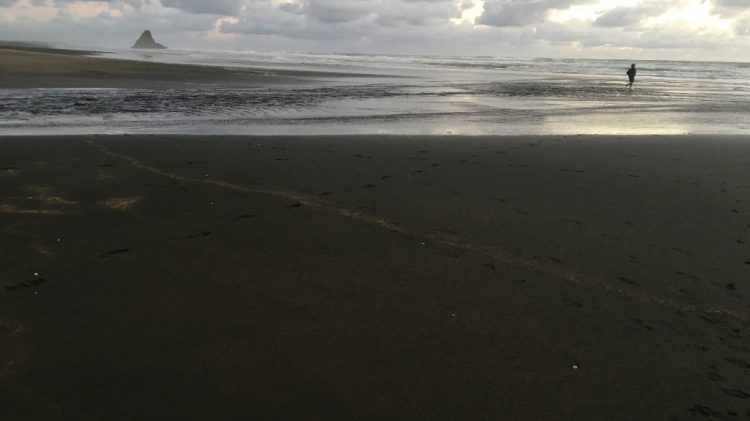 Karekare Beach - Nouvelle Zélande