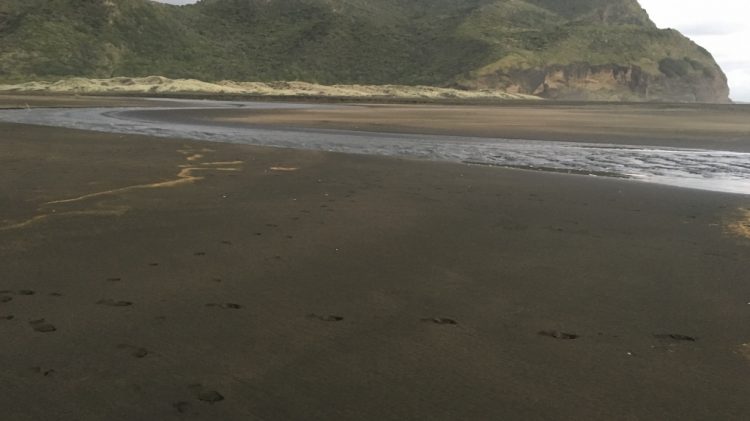 Karekare Beach - Nouvelle Zélande