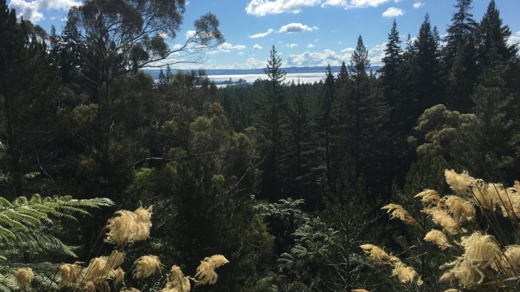 Rotorua - Nouvelle Zélande