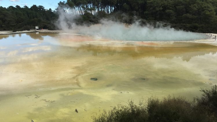 Wai o taipu - Géothermie Rotorua