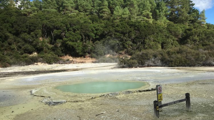 Wai o taipu - Géothermie Rotorua