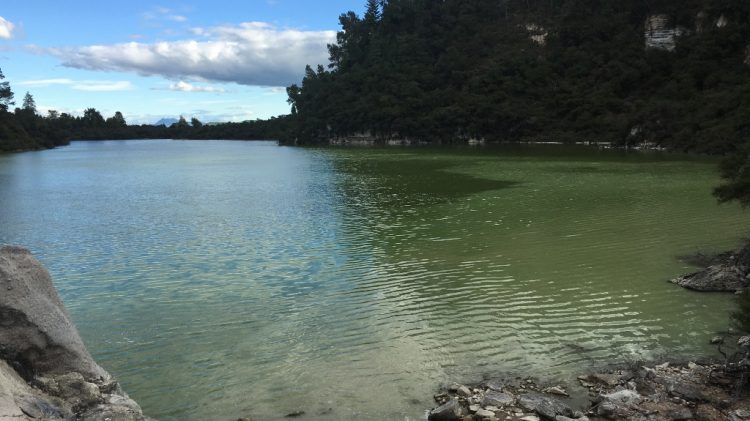 Wai o taipu - Géothermie Rotorua