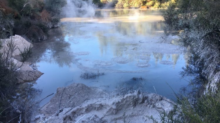 Wai o taipu - Géothermie Rotorua